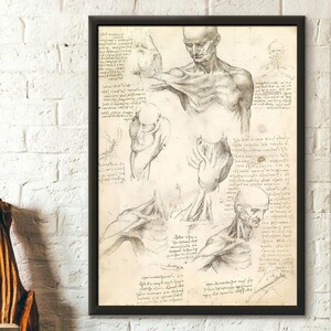 Póster de calidad premium: Arte mural con impresión anatómica de Da Vinci, decoración médica, impresión anatómica de anatomía humana, póster de Da Vinci, arte mural médico.