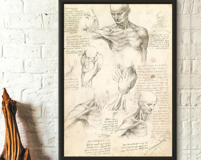 Premium Quality Poster: Wall Art Da Vinci Anatomical Print Medical Decor Human Anatomy Anatomical Print Da Vinci Poster Medical Wall Art