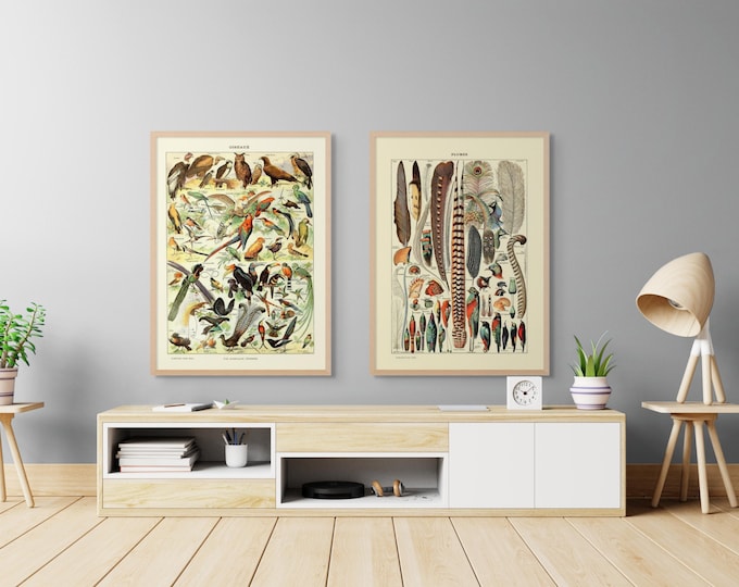 Vintage Bird  Feather Art Prints Set of 2 by Adolphe Millot Larousse Botanical Wall Decor