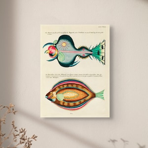 Impresión surrealista vintage de peces de 1754: póster botánico de pared para decoración de sala de estar, temática marina.