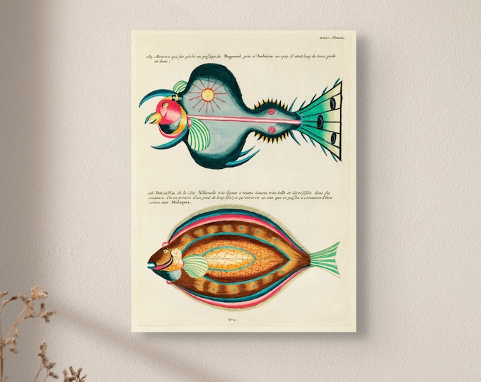 Vintage Surrealist Fish Print: 1754 Botanical Marine Art