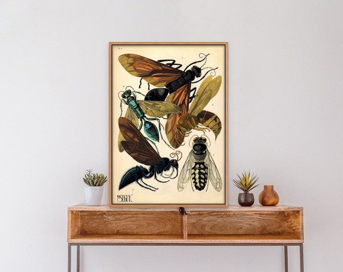 Vintage Wasp Print: Botanical Insect Illustration, Home Decor