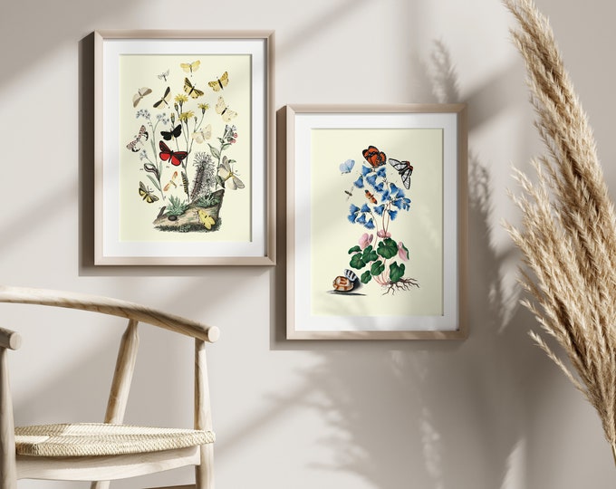 Vintage Butterfly Botanical Wall Art Set  Retro Decor for Nature Lovers  Beautiful Illustrations