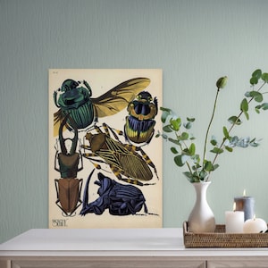 Vintage Insekten Druck Käfer Poster Wand Kunst Premium Botanische Dekor Einzigartige Insekt Kunst