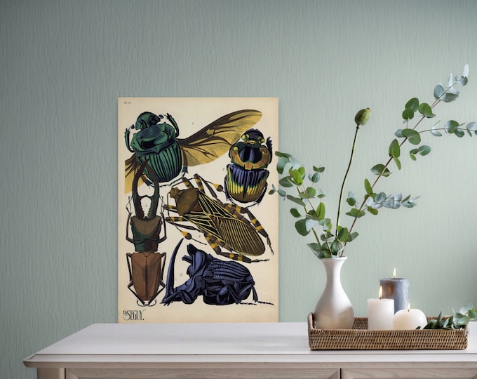 Vintage Insect Print Beetle Poster Wall Art  Premium Botanical Decor  Unique Insect Art