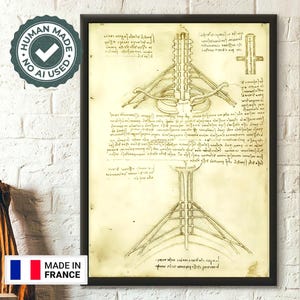 Da Vinci Medical Print -The Brachial Plexus - Medical Decor Human Anatomical Poster Anatomical Prints Medical Decor Gift Idea Medical Art