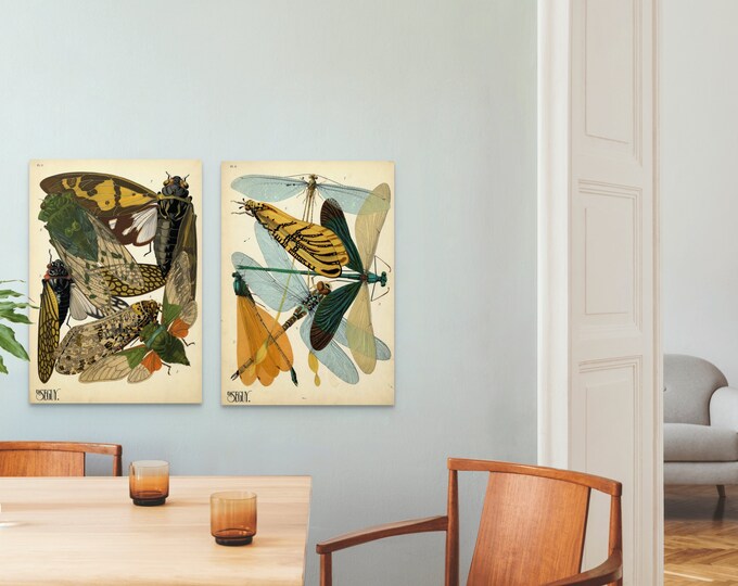 Vintage Insect Poster Prints: 1920s Botanical Art - Set of Two