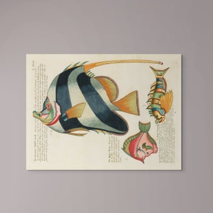 Sztuka ścienna Vintage Fish Print autorstwa Louisa Renarda Botaniczna sztuka ścienna Plakat z rybą Botaniczna dekoracja ścienna Marina Art Marine Print