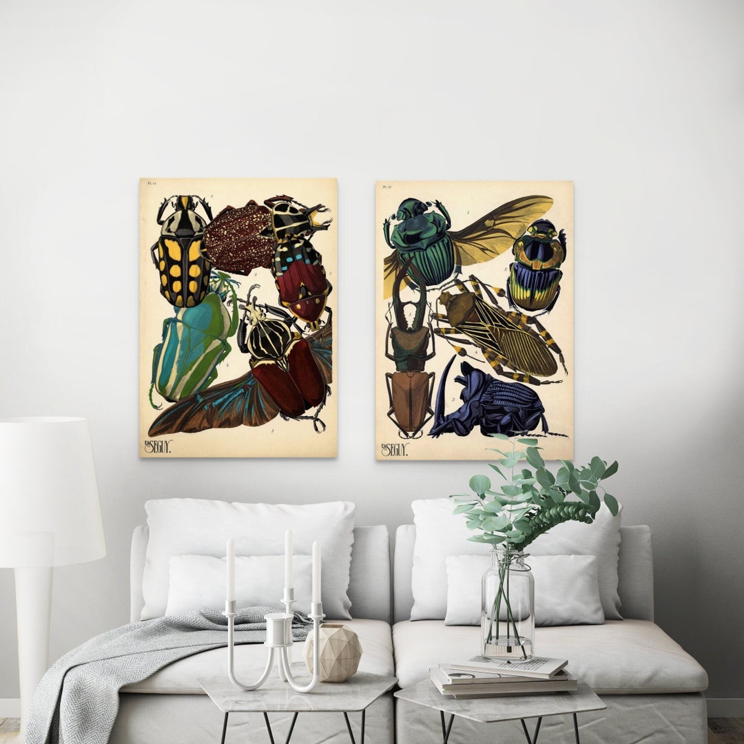 Premium Quality Poster: Vintage Beetle Insect Poster Prints Mid 1920s ...