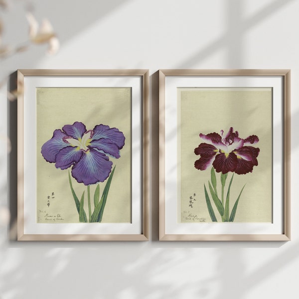 Lot de 2 affiches de fleurs japonaises, 1910 - Illustration botanique vintage, affiche de papillons, idée cadeau, art mural japonais, art mural