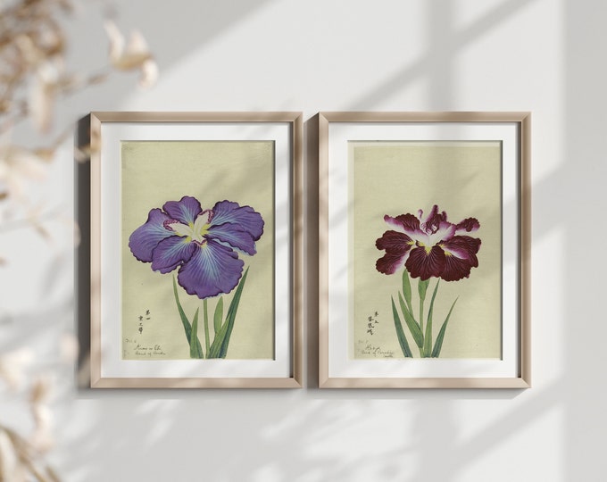 A Set Of 2 Japanese Flower Posters 1910 - Vintage Botanical Illustration Butterfly Poster Gift Idea Japanese Wall Art Wall Art