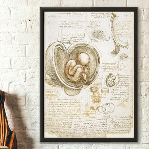 Impresión anatómica de Da Vinci, decoración médica, póster de Da Vinci, decoración anatómica, impresión de anatomía, impresión de feto, póster de Da Vinci, arte de Da Vinci