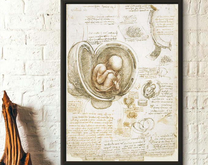 Da Vinci Anatomical Print Medical Decor Da Vinci Poster Anatomical Decor Anatomy Print Fetus Print Da Vinci Poster Da Vinci Art