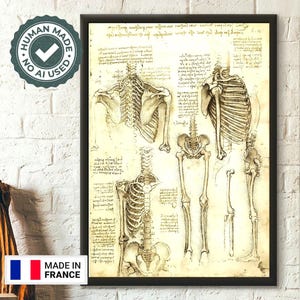 Póster anatómico de Da Vinci, huesos humanos, arte médico, decoración médica vintage