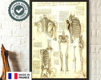 Da Vinci Anatomical Poster  Human Bones Medical Art  Vintage Medical Decor