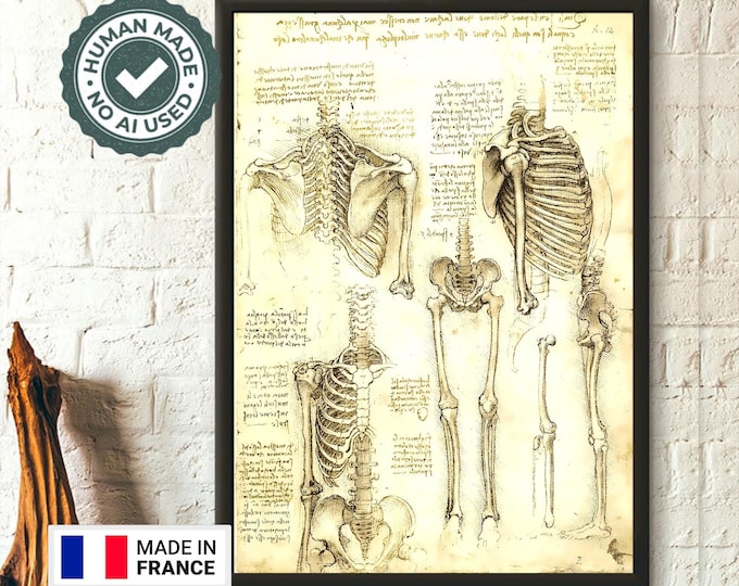 Da Vinci Anatomical Poster  Human Bones Medical Art  Vintage Medical Decor