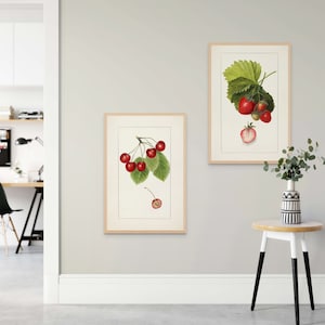 Vintage Erdbeer-Kirsche Art Prints 2er-Set Botanische Küche Wanddekoration Premium Qualität Zitrone Poster