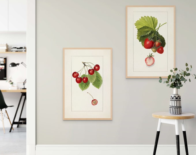 Vintage Strawberry Cherry Art Prints Set of 2  Botanical Kitchen Wall Decor Premium Quality Lemon Poster
