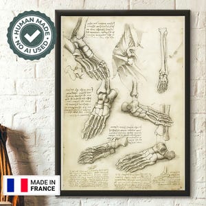 Impresión de anatomía de Da Vinci, decoración médica, póster anatómico humano, póster de Da Vinci, impresiones anatómicas, decoración médica, arte de pared médico
