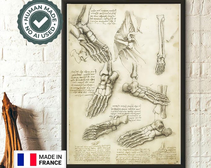 Da Vinci Anatomy Print Medical Decor Human Anatomical Poster Da Vinci Poster Anatomical Prints Medical Decor Medical Wall Art