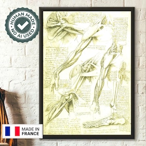 Poster anatomico di Da Vinci, decorazione medica, arte murale, stampa di anatomia umana
