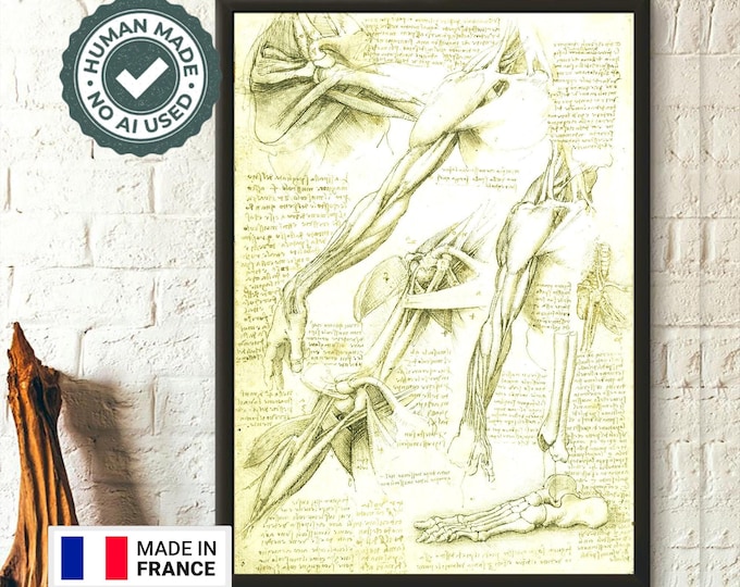 Da Vinci Anatomical Poster  Medical Decor Wall Art  Human Anatomy Print