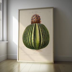 Vintage Kaktus Druck Poster Premium Botanische Wandkunst für Einzigartige Küche Dekor Nachdenkliches Geburtstagsgeschenk