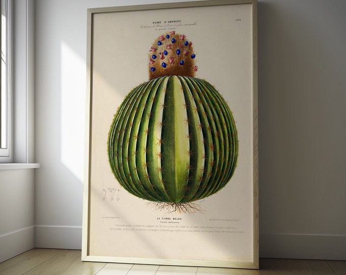 Vintage Cactus Print Poster  Premium Botanical Wall Art for Unique Kitchen Decor  Thoughtful Birthday Gift