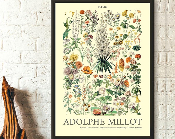 Premium Quality Poster: Flower Print Adolphe Millot Poster Kitchen Decor Botanical Print Art Reproduction Wall Art