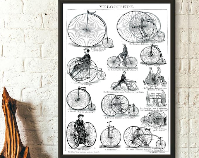 Vintage Bike Illustrations 1882 Brockhaus Iluustrations Bike Poster Vintage Bicycle Print Vintage Bike Wall Art Cycling Wall Art