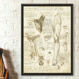 Impresión de anatomía de Da Vinci, decoración médica, póster anatómico humano, impresión científica de anatomía humana, impresiones anatómicas, póster de Da Vinci 2, arte de pared