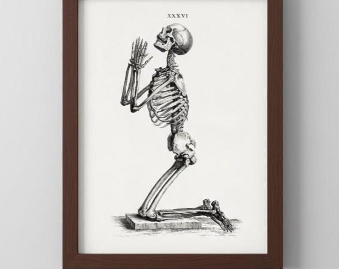 Anatomical Skeleton Art Print, Vintage Medical Illustration, Gothic Home Decor, Macabre Wall Art, Unique Science Gift, Memento Mori Print