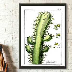 Vintage Kaktus Illustration - Botanischer Druck Kaktus Poster Botanische Wandkunst Botanische Kunst Wohnkultur Geschenk Idee Geburtstag Wandkunst