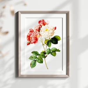 Impresión de flores botánicas vintage, arte floral de pared, ilustración de rosa antigua, póster de flores, arte botánico, decoración de pared para el hogar
