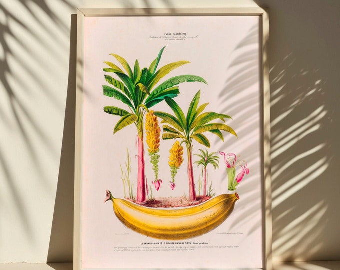Banana Kitchen Poster - Minimalist Wall Art