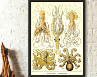 Vintage Ocean Art Nautical Print Marine Art Housewarming Gift Idea Dictionary Brockhaus Siphonophora