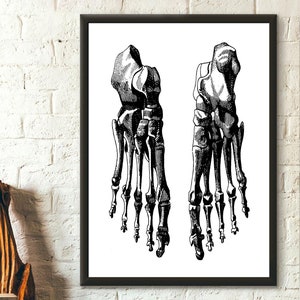 Vintage Anatomical Print Feet - Medical Decor Anatomical Print Vintage Anatomy Medical Wall Art Birthday Gift Idea Medical Gift Wall Art