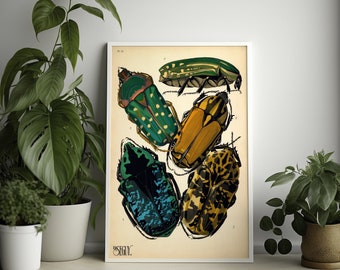 Imprimé scarabée diamant vintage - Poster insecte pour décoration d'intérieur, cadeau botanique - Art mural de salon