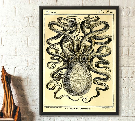 octopus nursery decor