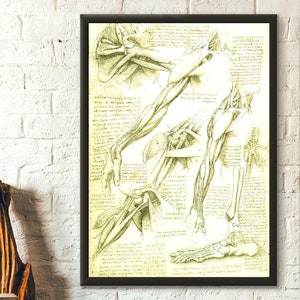 Da Vinci Medical Print - Medical Decor Human Anatomical Poster Da Vinci Poster Anatomical Prints Medical Decor Gift Idea Medical Wall Art