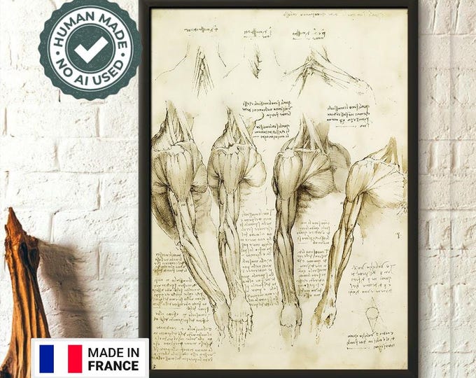 Da Vinci Medical Print Medical Decor Human Anatomical Poster Da Vinci Poster Muscle Anatomy Medical Decor Medical Wall Art