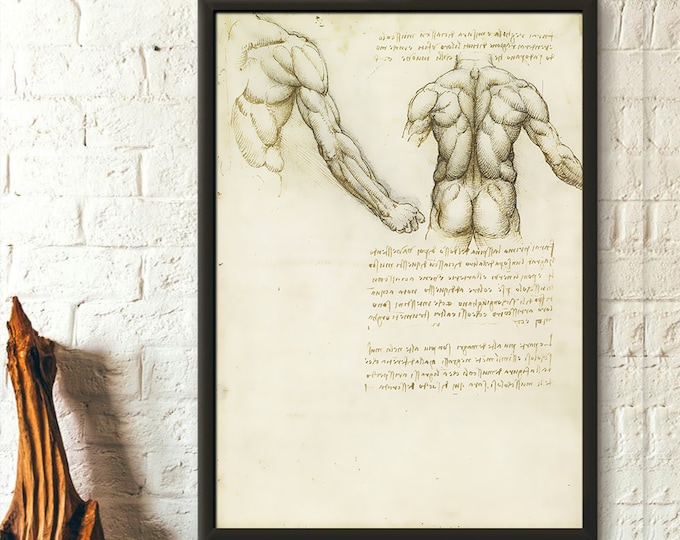 Da Vinci Anatomy Print - Medical Decor Human Anatomical Poster Da Vinci Poster - Living Room Prints Art Reproduction Wall Art