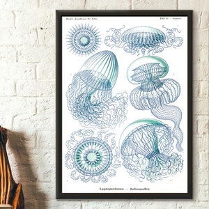 Vintage Jellyfish Art Print  Premium Nautical Poster  1904 Haeckel Sea Life Décor