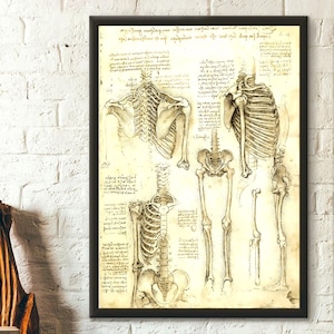 Da Vinci Medical Print - Medical Decor Human Anatomical Poster Bones Poster Anatomical Prints Medical Decor Gift Idea Medical Wall Art