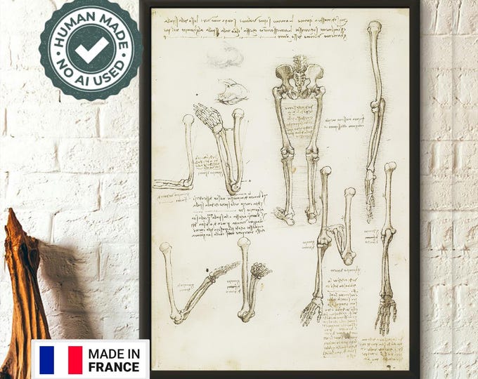 Da Vinci Anatomical Print  Medical Wall Art  Skeleton Anatomy Poster for Graduation