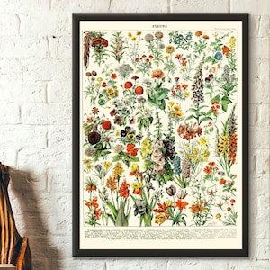 Wall Art Vintage Flower Print 1909 Adolphe Millot Poster Flower ating Botanical Print Romantic Floral Illustration Science