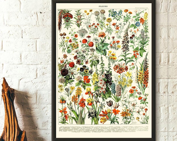 Wall Art Vintage Flower Print 1909 Adolphe Millot Poster Flower ating Botanical Print Romantic Floral Illustration Science