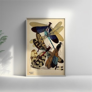 Póster vintage de insecto caballito del diablo, impresión artística premium del siglo XX, ilustraciones de Larousse