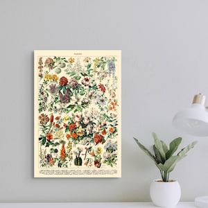 Arte mural con estampado floral vintage de 1909, ilustración botánica de Adolphe Millot, decoración romántica para el hogar, regalo de cumpleaños
