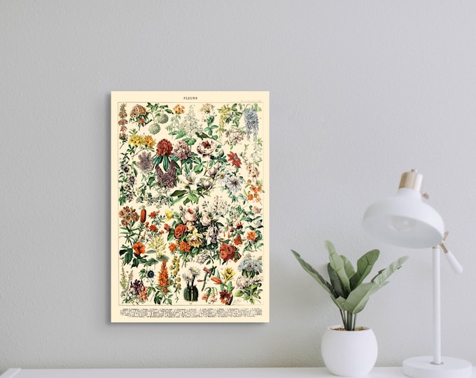 Vintage Floral Print Wall Art  1909 Botanical Illustration by Adolphe Millot  Romantic Home Decor Birthday Gift